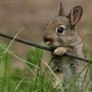 Meet your Posher, Annalisa